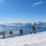 Details zu Führung: Abfahrten vom Gipfel bis ans Meer : Lyngen Alps – Lyngen Fjord
